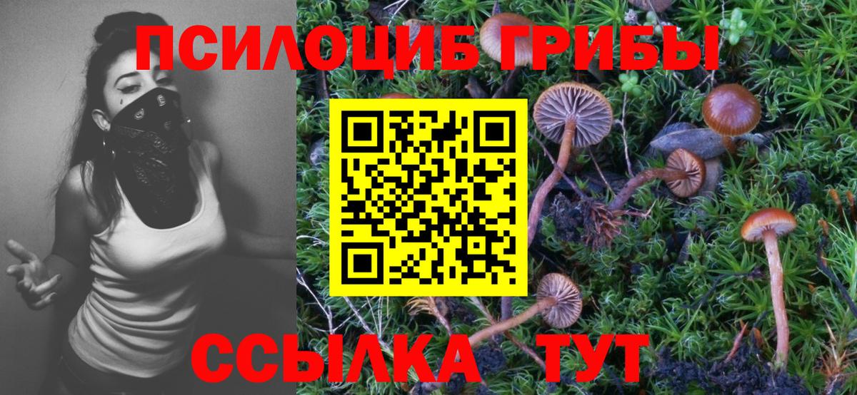 Псилоцибиновые грибы мухоморы  Вход с VPN  Надым  Галлюциногенные грибы Cubensis 